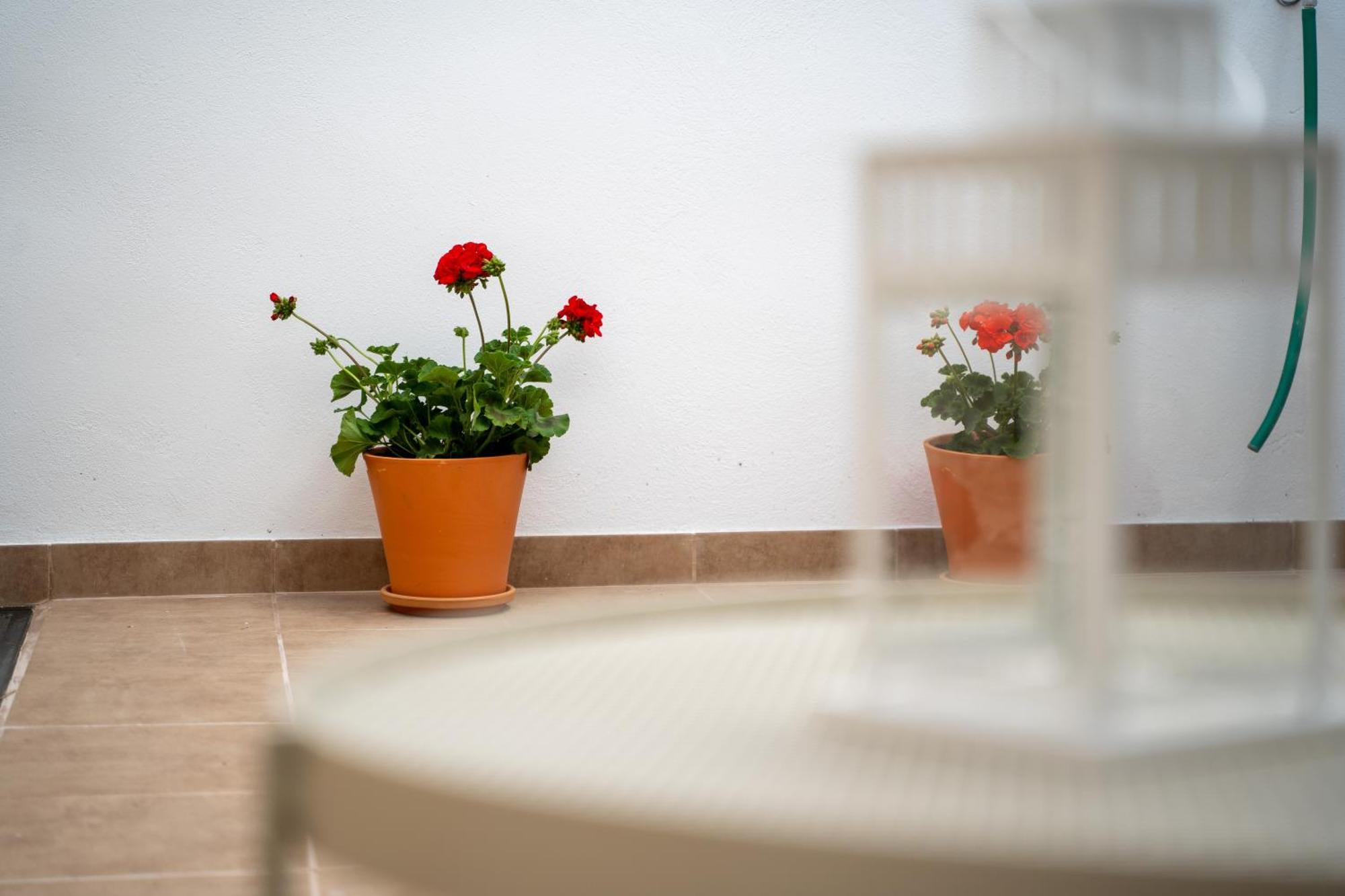 Apartmán El Secreto De Chirinos Úbeda Exteriér fotografie